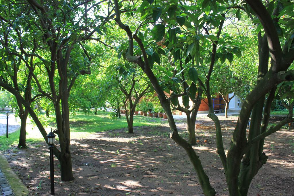 Yildiz Pension Bungalows Çıralı Zewnętrze zdjęcie