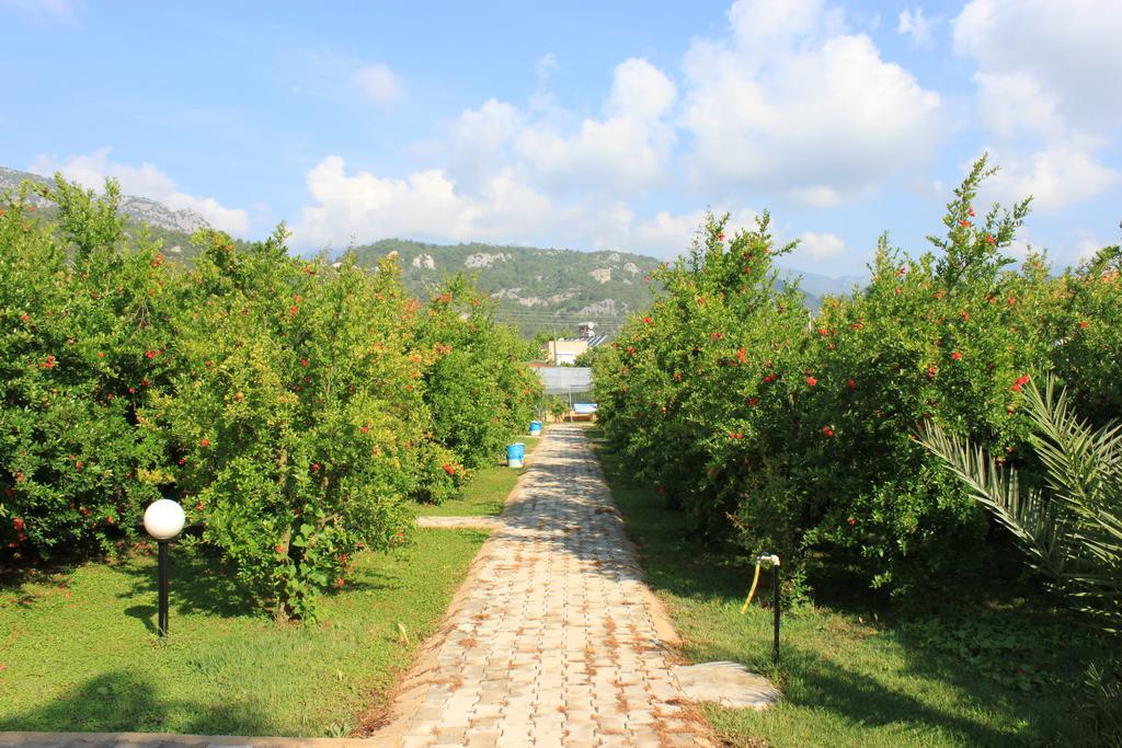 Yildiz Pension Bungalows Çıralı Zewnętrze zdjęcie