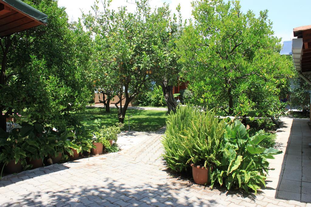 Yildiz Pension Bungalows Çıralı Zewnętrze zdjęcie