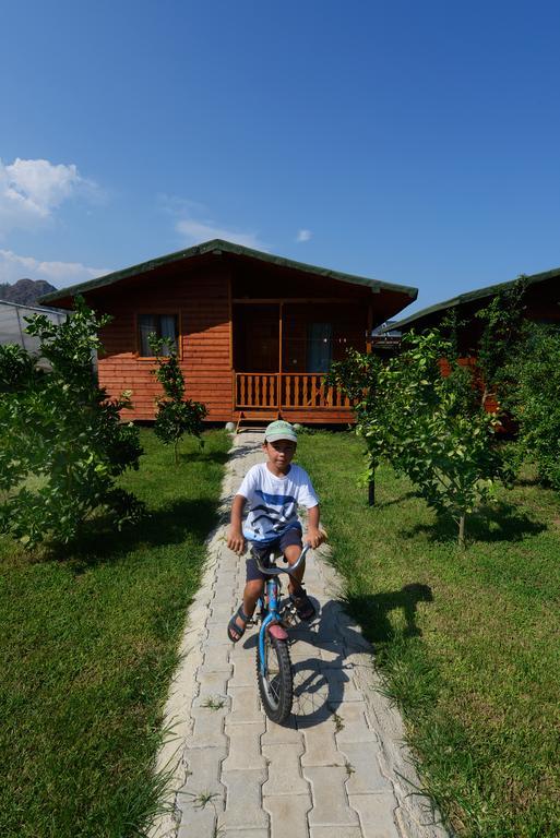 Yildiz Pension Bungalows Çıralı Pokój zdjęcie