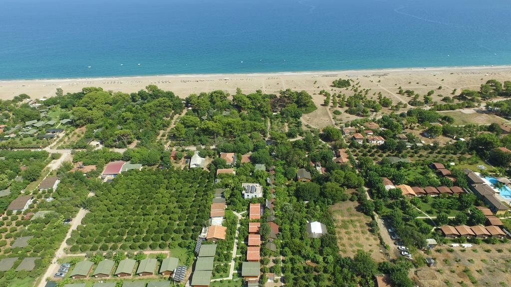 Yildiz Pension Bungalows Çıralı Zewnętrze zdjęcie