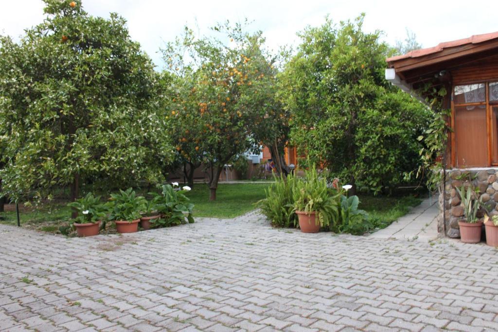 Yildiz Pension Bungalows Çıralı Zewnętrze zdjęcie